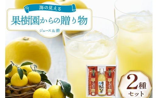 果物 オレンジ 果樹園からの贈り物 2種 セット [善果園 長崎県 平戸市 hr42bgy420172] みかん ジュース 夏香 美柑酢