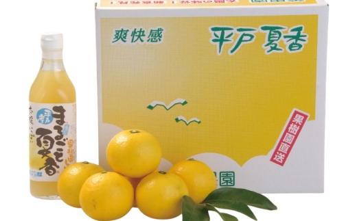 果物 オレンジ 平戸 夏香 & ジュース セット  [善果園 長崎県 平戸市 hr42bgy420206] みかん ミカン くだもの 柑橘 フルーツ 加工品