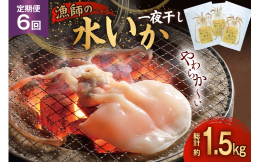 いか 一夜干し 干物  漁師の水烏賊一夜干し 2〜3枚 約250g 6回 定期便 総計1.5kg [中野漁業 長崎県 平戸市 hr42bgy400078] イカ 乾物 水いか 冷凍