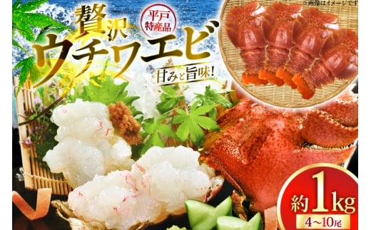 ウチワエビ えび 刺身 平戸 ウチワエビ 三昧 1000g [平戸さくら水産 長崎県 平戸市 hr42bgy420148] 魚介 海鮮 冷凍