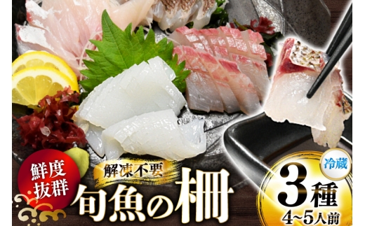 刺身 鮮魚 旬魚 の柵 3種 セット （刺身2種＆ イカ 1種）（4～5人前） [舘浦漁業 長崎県 平戸市 hr42bgy420009] おつまみ おつまみ 柵 冷蔵 新鮮 海鮮 盛り合わせ 旬 切るだけ 真空パック
