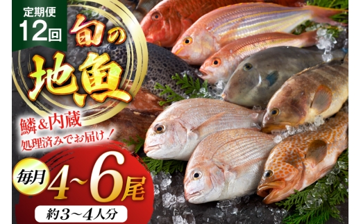魚 海鮮 朝獲れ 地魚 詰合せ 4～6尾/回 12回 定期便 [平戸瀬戸市場 長崎県 平戸市 hr42bgy420342] さかな 詰め合わせ 鮮魚