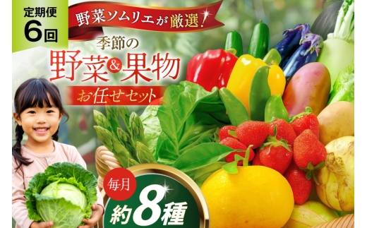 野菜 果物 ソムリエ厳選 地元野菜 果物 6回 定期便 [ひらど新鮮市場 長崎県 平戸市 hr42bgy400196] やさい くだもの フルーツ