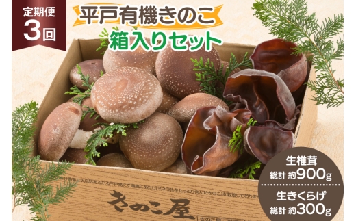 きのこ しいたけ きくらげ 生椎茸 生きくらげ 箱入りセット 3回 定期便 [きのこ屋 長崎県 平戸市 hr42bgy410164] 有機 有機JAS 有機栽培 有機きのこ 有機しいたけ 箱入り ギフト セット
