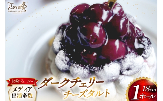 ケーキ タルト 贅沢 ダークチェリー タルト 1ホール 18cm [心優-Cotoyu Sweets- 長崎県 平戸市 hr42bgy420098] アメリカン チェリー サクランボ さくらんぼ フルーツ 果物 たっぷり スイーツ ご褒美 誕生日