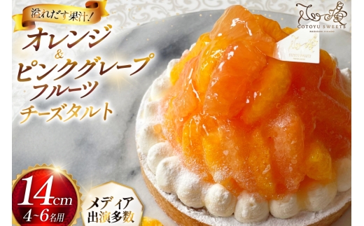 フルーツ タルト オレンジ & ピンク グレープフルーツ チーズタルト 1ホール 14cm [心優-Cotoyu Sweets- 長崎県 平戸市 hr42bgy420081] 柑橘 果物 ケーキ たっぷり スイーツ ご褒美 誕生日