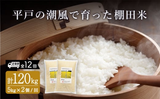 [全12回定期便]平戸の潮風で育った 棚田米 計120kg (5kg×2個 / 回) 平戸市 / ひらど新鮮市場 [KAB174] 棚田米 米 お米 白米 米 精米 コシヒカリ おこめ はくまい