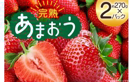 [期間限定発送] いちご 完熟 あまおう 約270g 2p [mhshops 福岡県 筑紫野市 21761027] イチゴ 苺 フルーツ 果物 くだもの 2パック