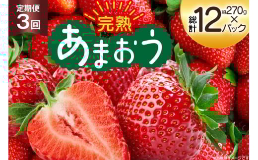 [期間限定発送] いちご 3回 定期便 福岡県産 完熟 博多 あまおう 270g 4p 総計12p [mhshops 福岡県 筑紫野市 21761227] イチゴ 苺 フルーツ 果物 くだもの 4パック