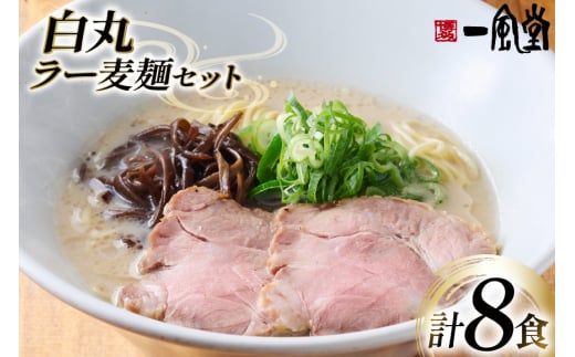 ラーメン 九州 一風堂 白丸ラー麦麺 セット [フーデリジェンス 福岡県 筑紫野市 21761093] 博多 ラーメンセット らーめん 細麺 とんこつ とんこつラーメン