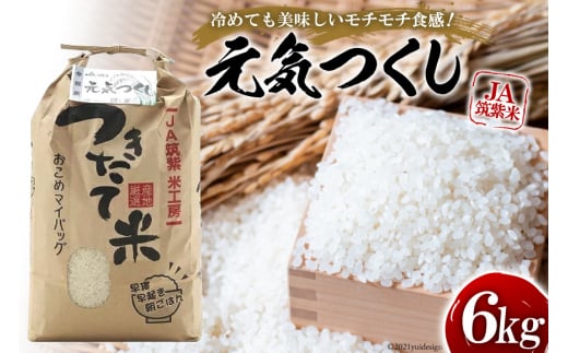 10012.JA筑紫米「元気つくし」6kg<JA筑紫 ゆめ畑>【福岡県筑紫野市】