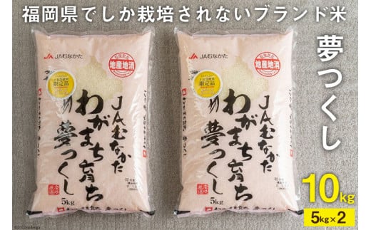 いつもの食卓に 「ちょっと贅沢な」福岡の美味しいお米 福岡の米 夢つくし 5kg×2 [南国フルーツ 福岡県 筑紫野市 21760886]