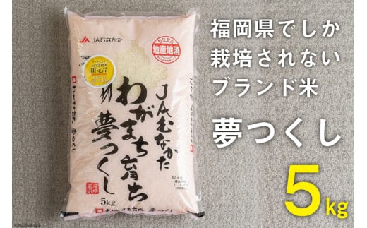 いつもの食卓に 「ちょっと贅沢な」福岡の美味しいお米 福岡の米 夢つくし 5kg [南国フルーツ 福岡県 筑紫野市 21760887]