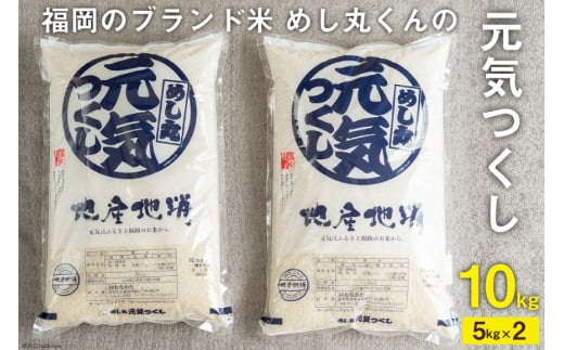 いつもの食卓に 「ちょっと贅沢な」福岡の美味しいお米 福岡の米 元気つくし 5kg×2 [南国フルーツ 福岡県 筑紫野市 21760884]