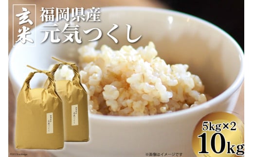 米 元気つくし 玄米 5kg × 2袋 計 10kg [ベネフィス 福岡県 筑紫野市 21760853] お米 福岡県産 穀物 もちもち