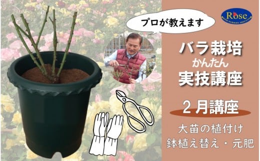 プロが教えるバラ栽培実技講座【2月：大苗の植付け・鉢植え替え・元肥】