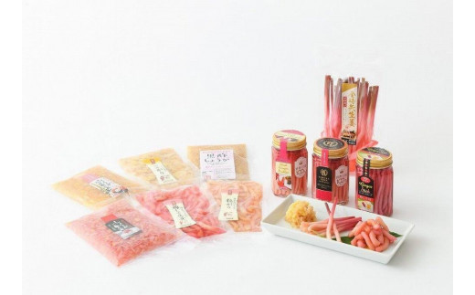 金時矢生姜彩りセット(70g×10種類)