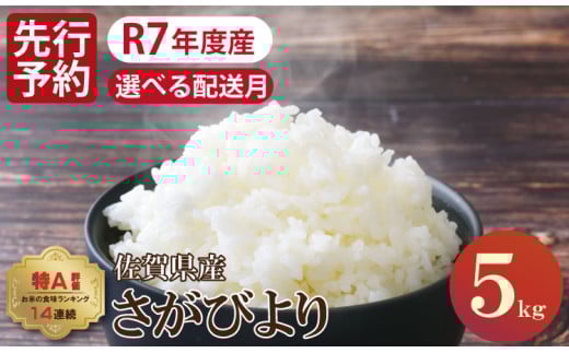 [11月出荷]先行予約 佐賀ブランド米「さがびより」5kg(5kg×1)潮風F