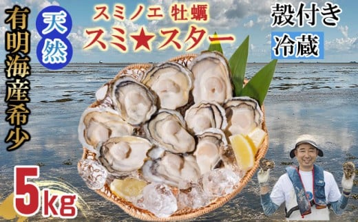 【4月配送】【先行予約】天然 有明海産「冷蔵スミノエ牡蠣」スミ☆スター5Kg 殻付き牡蠣 はしま海苔