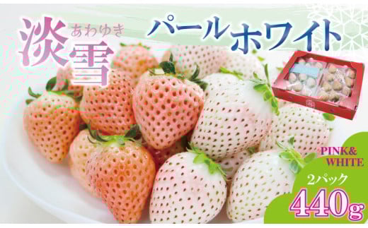 【先行予約令和8年1月配送開始】 淡雪＆パールホワイト（各１パック）220g×2（合計440g）農家直送 水田苺園　農家 直送品 果物 くだもの フルーツ 人気 ランキング  高評価 苺 イチゴ