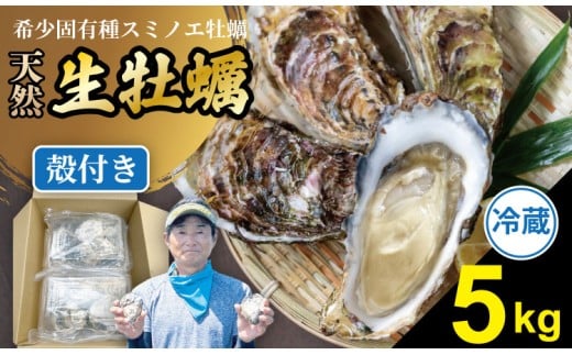 【4月配送】【先行予約】【天然】有明海産 住之江牡蠣 殻付き 冷蔵牡蠣 カキ 牡蠣 5㎏ 貝類 海産物 魚介類 魚介 貝 魚貝 魚貝類 ハクエイ水産