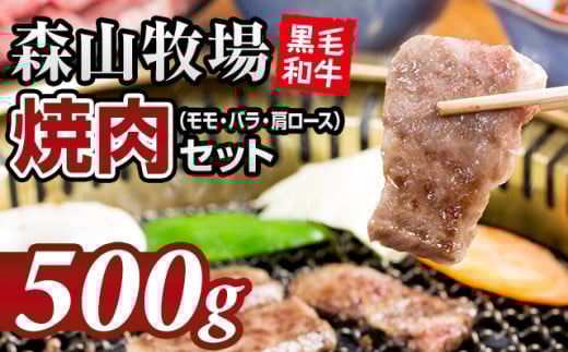 鮮度が違う！森山牧場 焼肉セット（500g）  黒毛和牛