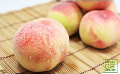 ご家庭用小城の桃（1kg）ジューシー果汁が溢れるモモ