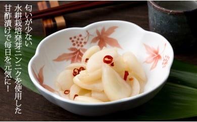 発芽ニンニク甘酢漬けセット(3パック)臭いが気にならない