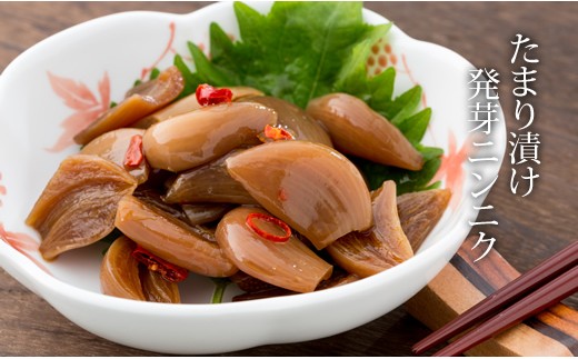 発芽ニンニクのたまり漬け(3パック)臭いが気にならない