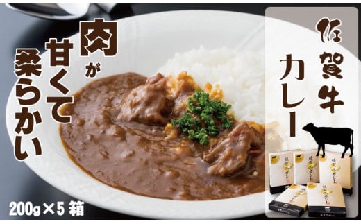 佐賀牛カレー（５箱セット）煮込みスジ肉入り おぎのからあげ 200g×5