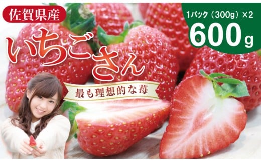 【先行予約令和8年2月配送開始】いちごさん 2箱セット（合計 600g） ふるかわ農園  苺 甘い 酸っぱい いちご いちごさん イチゴ 2パック 苺 人気 佐賀 佐賀県  小城市