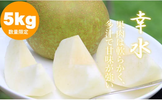 【先行予約受付中】もぎたて梨（幸水）5ｋｇ（ほたるの郷直売所）