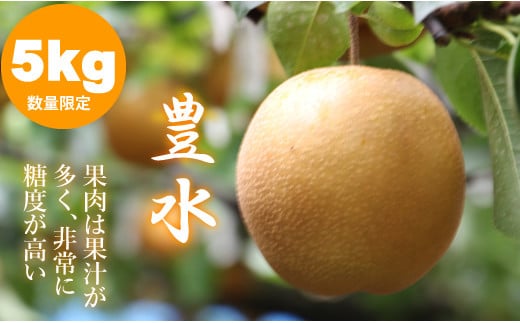 【先行予約受付中】もぎたて梨（豊水）5ｋｇ（ほたるの郷直売所）