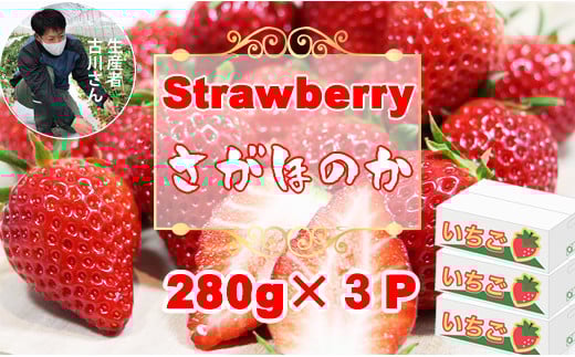 さがほのか（280ｇ×３パック）（ふるかわ農園）数量限定品 いちご 苺 農家から直送