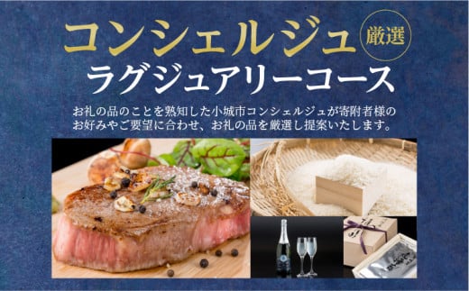 コンシェルジュプラン100(プレミアム 高額 相談)