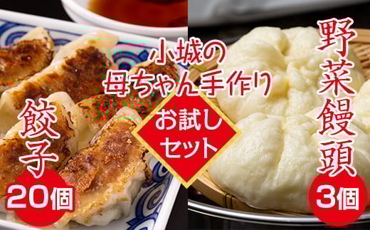 【お試しセット】小城の母ちゃんの手作りぎょうざ（特製タレ付き）、野菜まんじゅうセット 餃子 無添加
