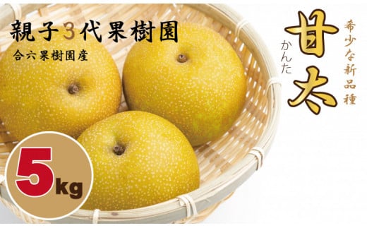 【先行予約受付中】甘太「かんた」 梨（５kg） 親子三世代 農家 合六果樹園