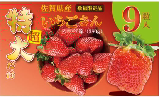 【先行予約受付中（１月から順次出荷）】【数量限定】厳選特大 サイズ いちごさん  １箱 （380g）９粒入り ふるかわ農園 苺 イチゴ いちご 大玉