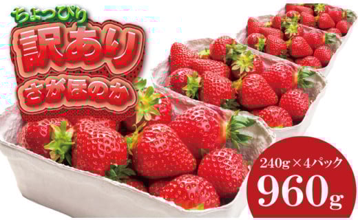 【先行予約令和8年1月配送開始】 訳あり 不揃い粒の さがほのか 通常サイズ （ 240ｇ×４Ｐ ）960g 江島農園 農家 直送品 果物 くだもの フルーツ