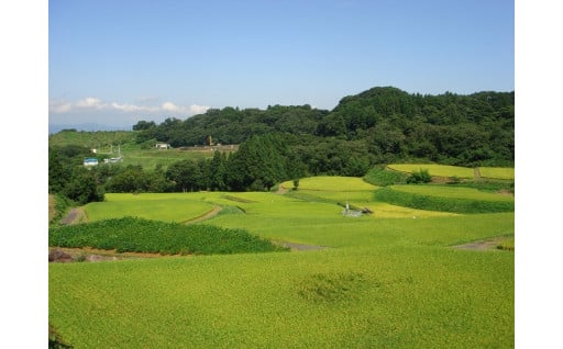 （６）快適「快適に住み続けられるまちをつくります」（環境）