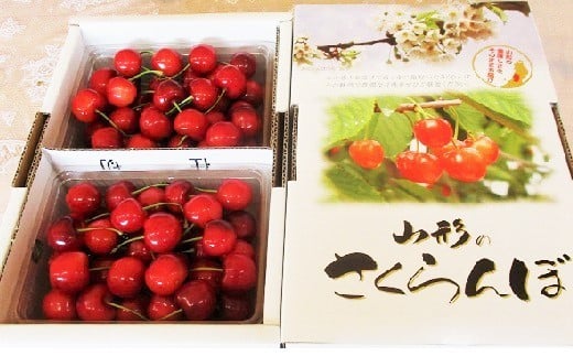 さくらんぼ（紅秀峰）８００ｇ　0025-2604