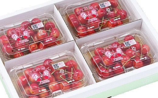 さくらんぼ（佐藤錦）７２０ｇ　0060-2604