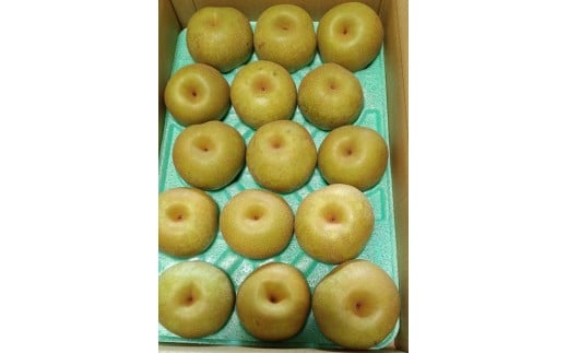 和梨(幸水)5kg 特秀・秀品混合 0042-2601