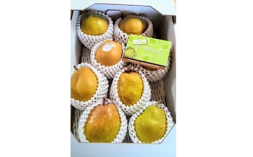 西洋梨(ラ・フランス)3kg 特秀品 0044-2505
