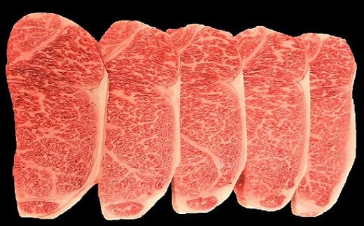 山形牛焼肉満腹セット 0002-2223