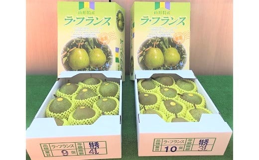 西洋梨(ラ・フランス)3kg 特秀品 0089-2502