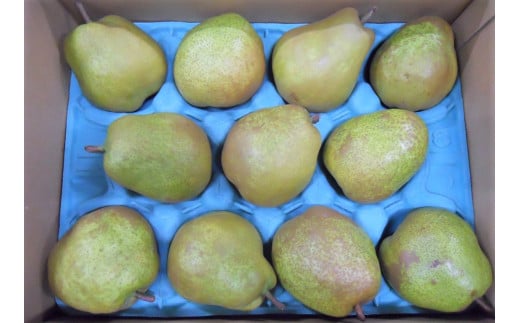 西洋梨（ラ・フランス）３ｋｇ　ご家庭用　0017-2516