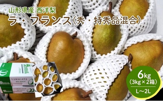 西洋梨（ラフランス）６ｋｇ（３ｋｇ×２箱）　0050-2601
