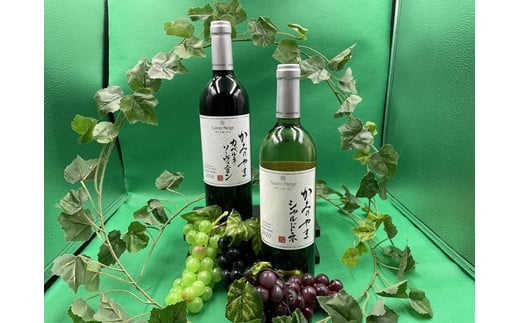 サントネージュかみのやま産葡萄 2本セット 0141-2407