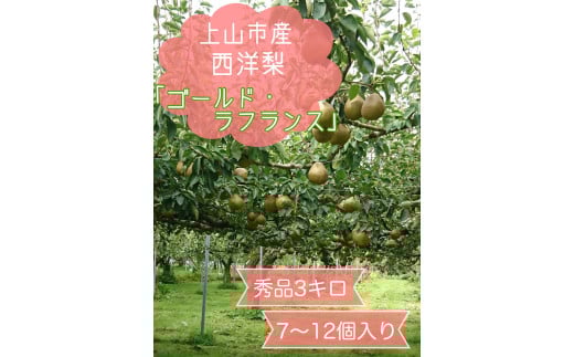 西洋梨(ゴールドラ・フランス)3kg 7~12個 0120-2505